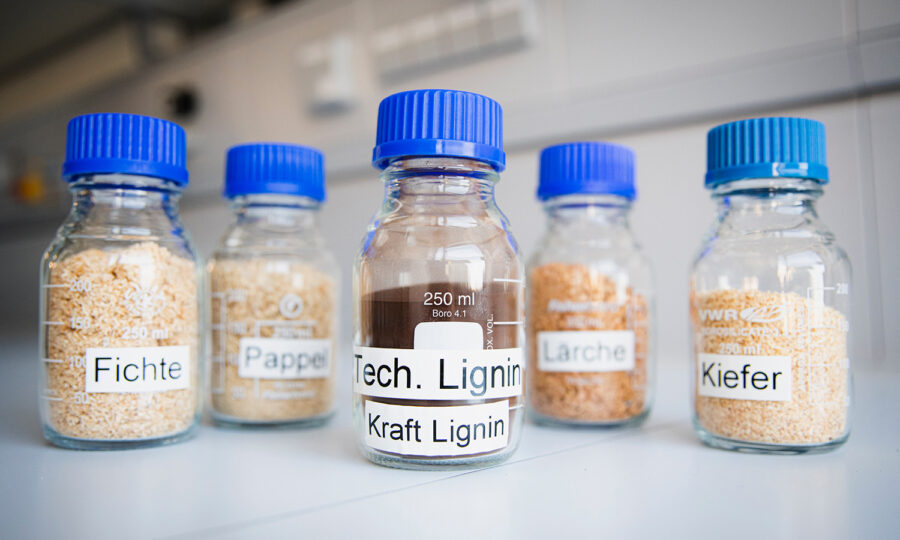 Fünf durchsichtige Laborflaschen mit blauen Deckeln, die jeweils mit deutschen Namen für Baumarten und Lignin beschriftet sind: "Fichte", "Pappel", "Tech. Lignin", "Lärche" und "Kiefer". Die Flaschen enthalten Holzspäne oder -pulver.