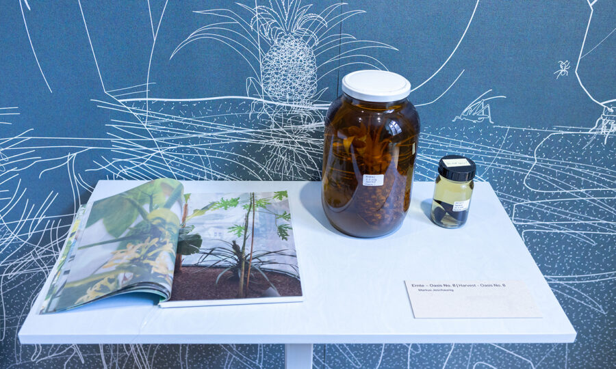 Auf einem weißen Tisch stehen ein aufgeschlagenes Buch mit Pflanzenfotos, ein großes Gefäß mit konservierten Pflanzenwurzeln, ein kleines Gefäß und ein Etikett vor einer blauen Wand mit weißen Strichzeichnungen von Ananas und Pflanzen.