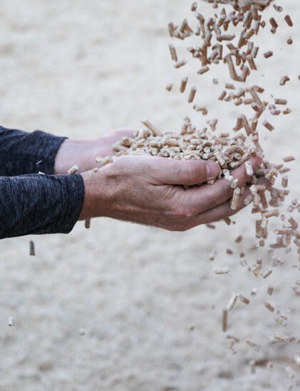 Eine Person in einem dunklen langärmeligen Hemd hält einen Haufen kleiner brauner Kügelchen in der Hand, von denen sie einige vor einem unscharfen Hintergrund im Freien fallen lässt.