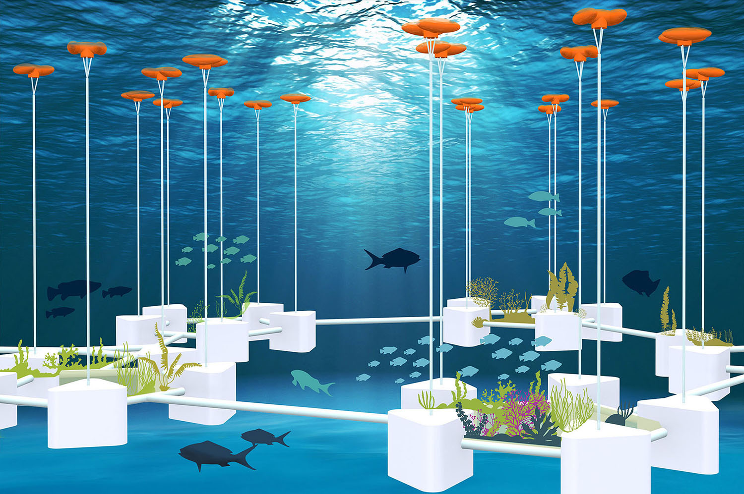 Illustration einer Unterwasserszene mit weißen schwimmenden Plattformen, die durch Rohre miteinander verbunden sind und über denen orangefarbene Bojen verankert sind. Fische schwimmen zwischen Korallen und Wasserpflanzen, die an den Plattformen befestigt sind, unter sonnenbeschienenem Wasser.