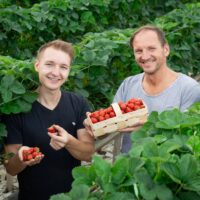 Zwei Männer stehen zwischen üppigen grünen Erdbeerpflanzen und lächeln in die Kamera. Ein Mann hält einen Korb mit Erdbeeren, während der andere eine Erdbeere in der Hand hält. Um sie herum sind reife Erdbeeren an den Pflanzen zu sehen.