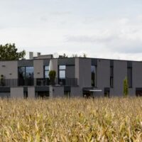 Ein modernes graues Gebäude mit Flachdach und großen Fenstern steht hinter einem Feld mit hohen, trockenen Maispflanzen unter einem bewölkten Himmel.