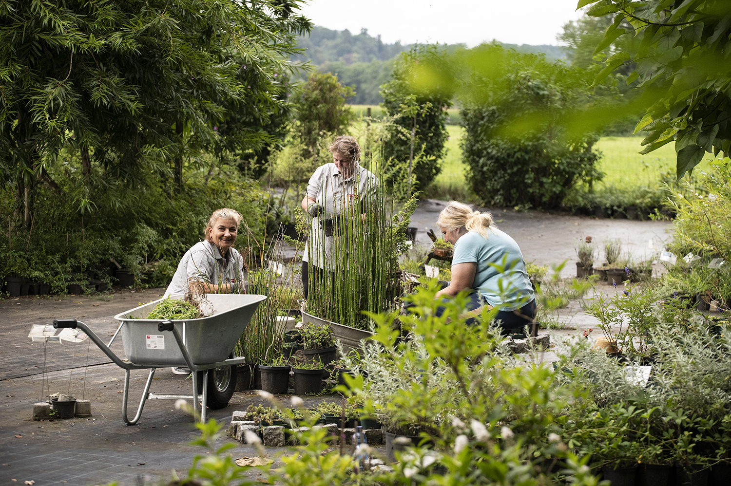 Drei Frauen bei der gemeinsamen Gartenarbeit im Freien, umgeben von grünen Pflanzen und Bäumen. Eine Frau lächelt in der Nähe einer Schubkarre, während die anderen sich um Topfpflanzen auf einem gepflasterten Weg kümmern, mit einer natürlichen Landschaft im Hintergrund.