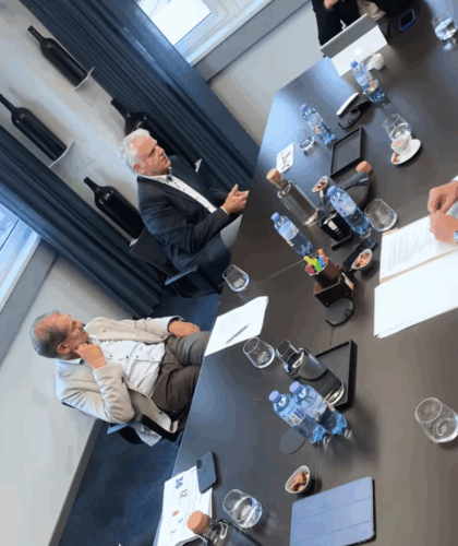 TALK IM TURM: Batterie & Chips als Standort-Boost?