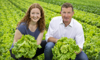 Eine Frau und ein Mann knien in einem üppigen grünen Salatfeld, beide lächeln und halten große Sträuße frisch geernteten Salats in der Hand - sie zelebrieren Nachhaltigkeit, während sich hinter ihnen Reihen von Blattgemüse ausbreiten.