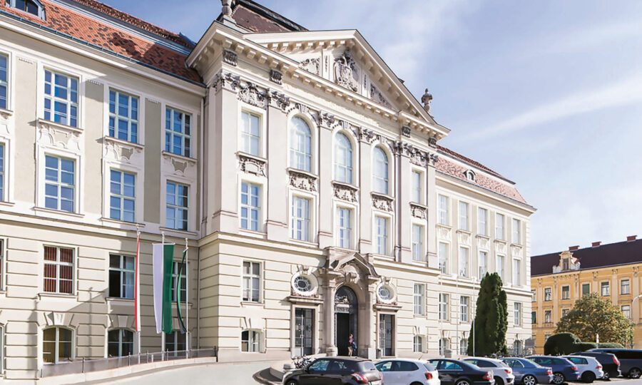 Ein großes, verziertes historisches Gebäude mit hohen Rundbogenfenstern und dekorativem Mauerwerk, mit Fahnen am Eingang und mehreren geparkten Autos entlang der Straße davor.