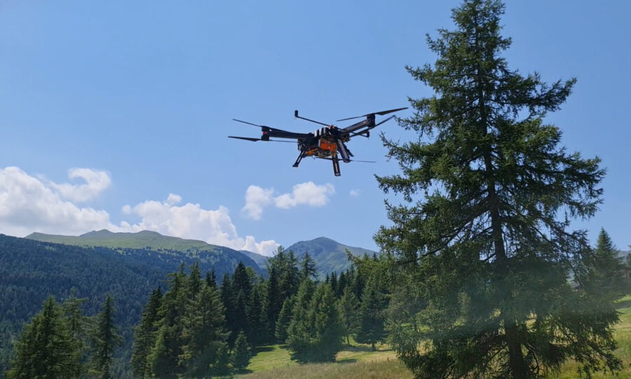 Eine schwarze Drohne fliegt in der Nähe einer hohen Kiefer in einer bergigen Landschaft unter einem klaren blauen Himmel, mit grünen Hügeln und weiteren Kiefern im Hintergrund.