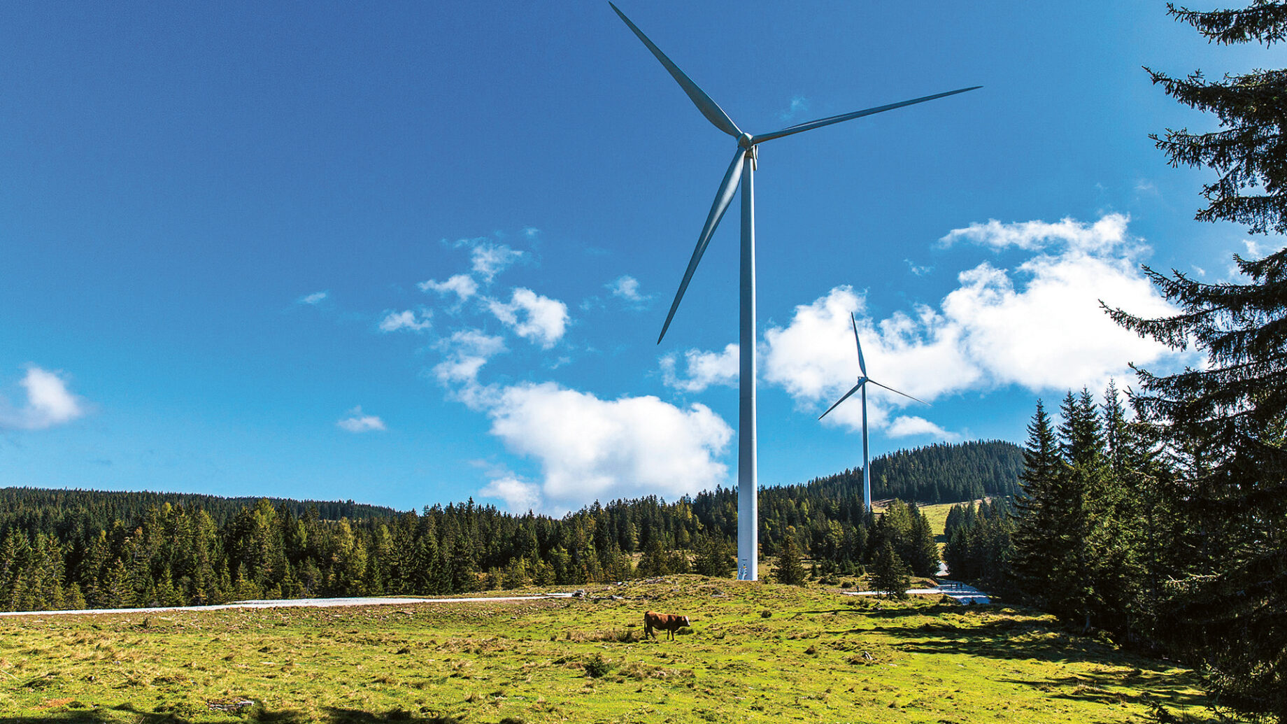 Zwei große Windkraftanlagen stehen auf einem grasbewachsenen, von Bäumen gesäumten Hügel unter einem strahlend blauen Himmel mit vereinzelten Wolken. Im Vordergrund sind bewaldete Flächen und eine auf der Wiese grasende Kuh zu sehen.