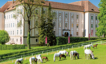 Weiße Pferde mit Fohlen grasen auf einer grünen Wiese vor einem großen, historischen Gebäude mit vielen Fenstern und einem roten Dach unter einem klaren blauen Himmel.
