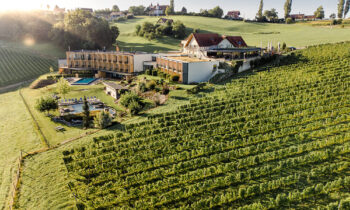 Ein modernes Weinbergshotel mit Pool liegt inmitten grüner Weinreben an einem sonnigen Hang, mit ein paar Häusern und Bäumen im Hintergrund.