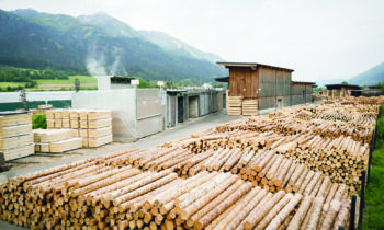 Hunderte von geschnittenen Baumstämmen und Holzstapeln sind auf einem Holzlagerplatz fein säuberlich angeordnet, mit Bergen und grünen Feldern im Hintergrund.