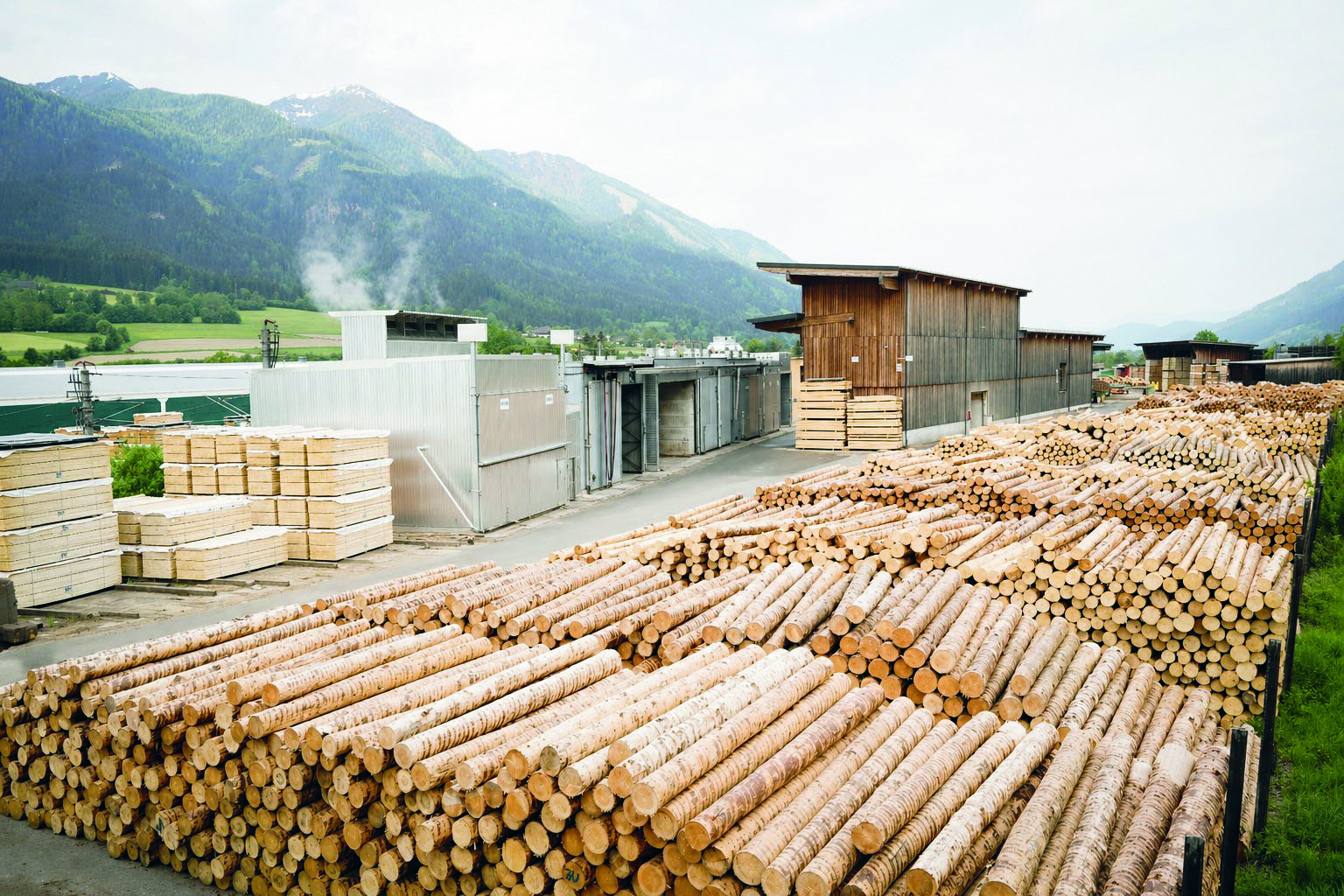 Hunderte von geschnittenen Baumstämmen und Holzstapeln sind auf einem Holzlagerplatz fein säuberlich angeordnet, mit Bergen und grünen Feldern im Hintergrund.