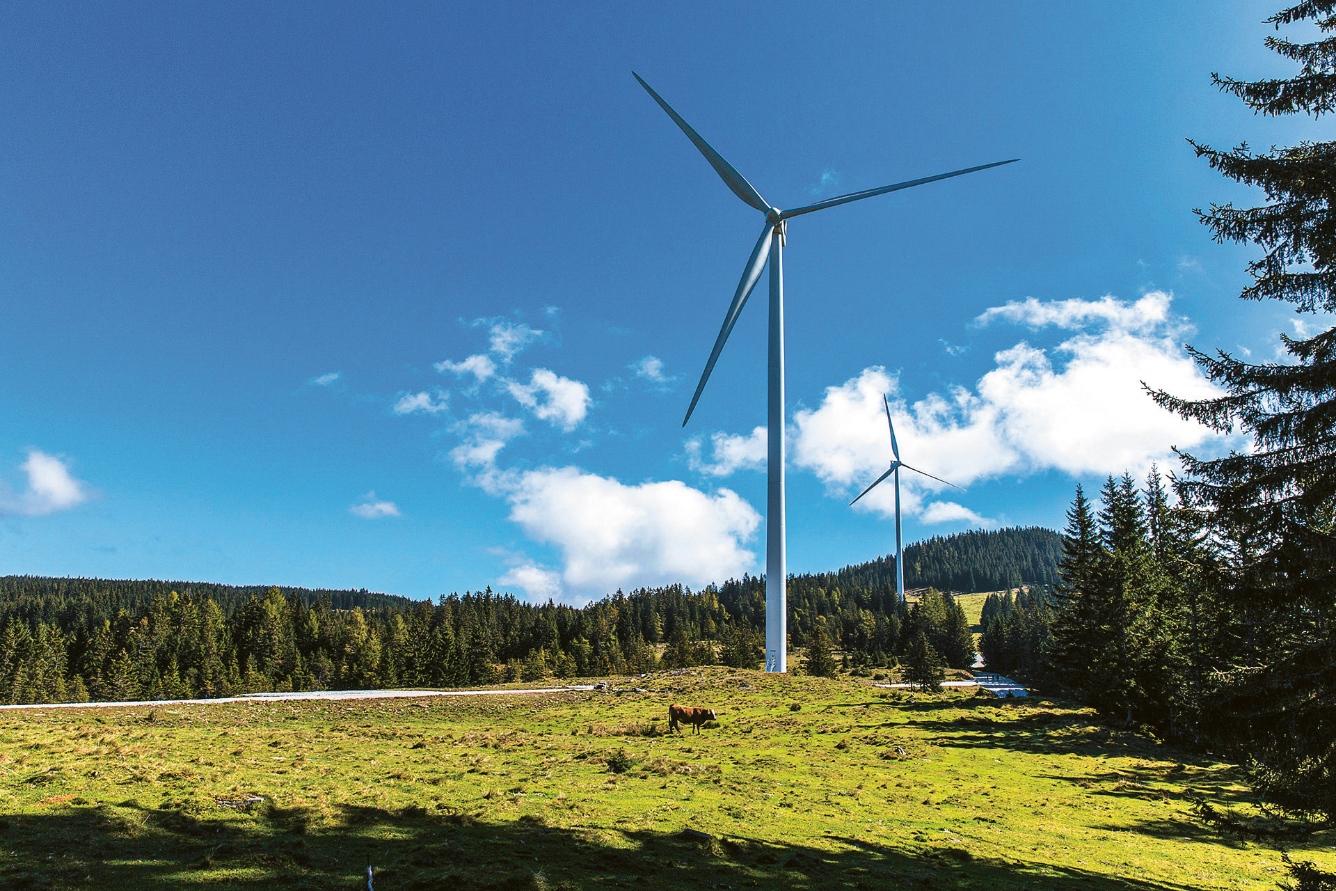Zwei große Windkraftanlagen stehen auf einer grasbewachsenen Lichtung, umgeben von Bäumen, unter einem strahlend blauen Himmel mit vereinzelten Wolken.