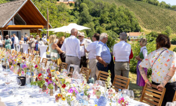 Bei einer sonnigen Gartenparty mit Weinbergen im Hintergrund versammeln sich die Gäste an einem langen, mit Blumen geschmückten Tisch im Freien und unterhalten sich.