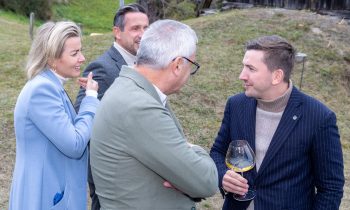 Vier Personen in Business-Casual-Kleidung genießen im Freien bei „Der gedeckte Ort Vol. 3“ Wein und gute Gespräche.